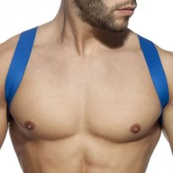 Addicted Spider Harness AD814 Royal Blue