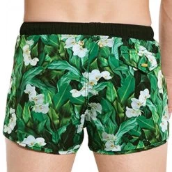 Aqua Blu Botanica Running Swim Shorts AM9001BO Green